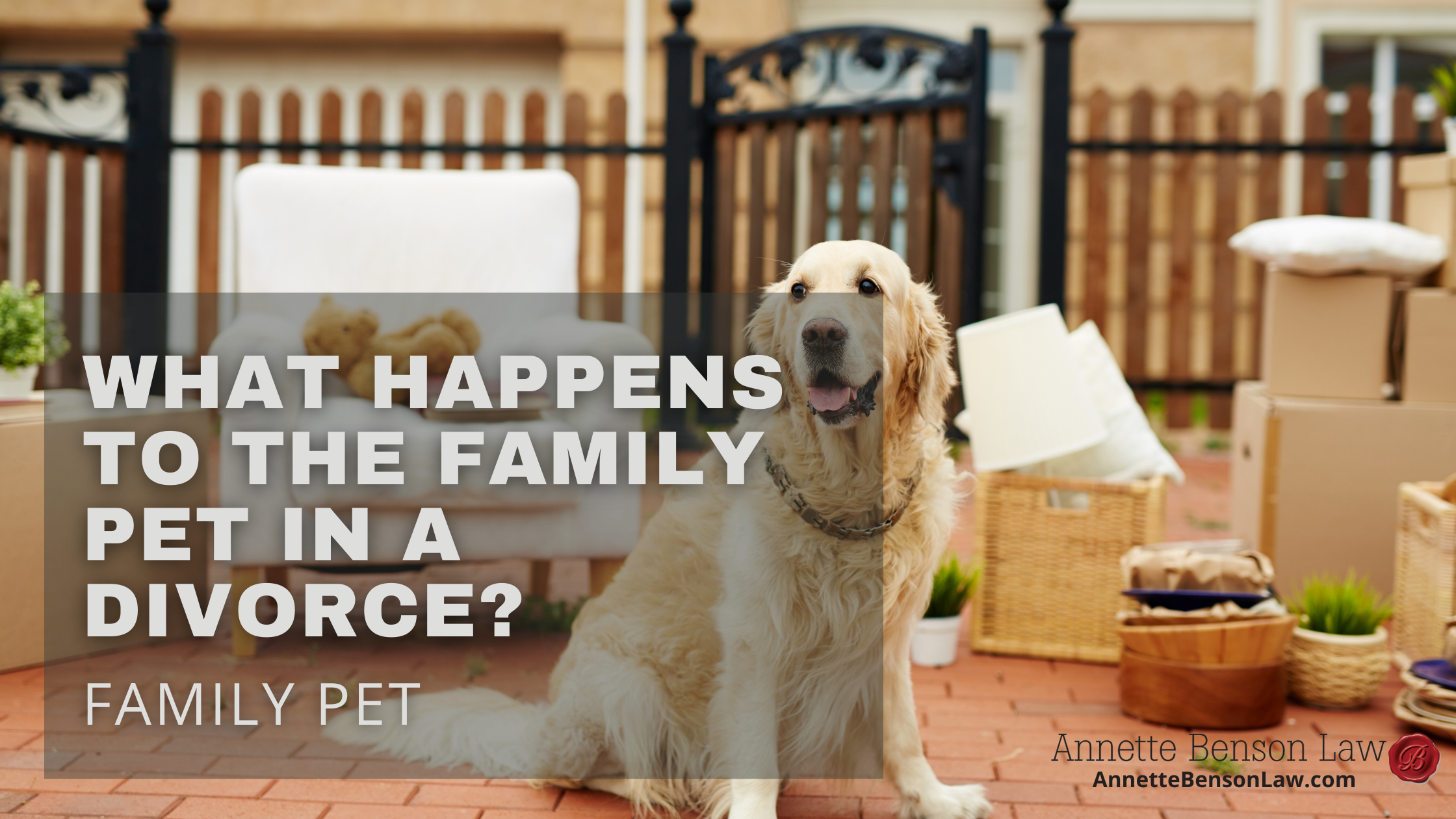 What happens to the family pet in a divorce